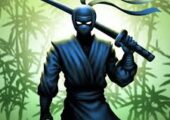 Ninja Warrior