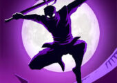 Shadow Knight Ninja